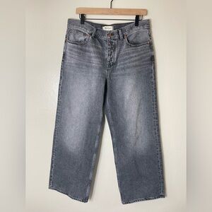 Madewell Low Slung Baggy Wide-Leg denim Jeans